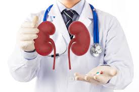 Best Kidney Specialist (Nephrologist) Doctor Dhaka