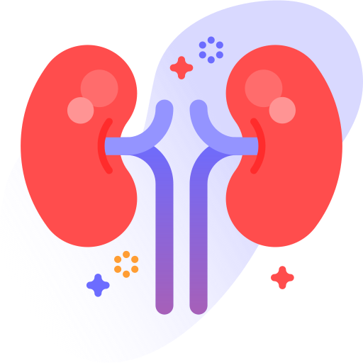 Nephrologist Specialist in Rajshahi City of Bangladesh